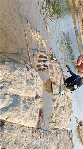 Fishing Techniques Tested: Which Methods ACTUALLY Work?