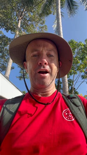 Good morning from Thailand. Today’s plan…🥘 Off to feed 80 street dogs myself 🏥 Workers here building the dog hospital 🧑‍🍳 Kitchen making food for 1300 dogs✂️ 12 dogs already waiting for sterilizing🤒 8 dogs under critical medical care 🌎 Around the world we will fund 300 dogs sterilizing operations todayThe only bad part is I have to go to my desk and do boring things like admin and finding the money to pay for this as CEO after feeding the dogs! Would rather be with the dogs all day. Have a