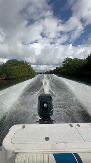 Pro-line Sea Trial