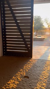 This simply never gets old… the last evening light streaming into the JD stables ☀️🫶 Always magic! | Joseph's Dream Stud Namibia