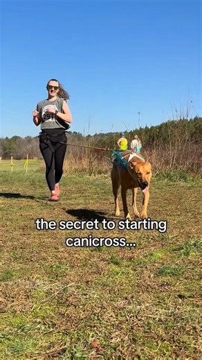 North American Canicross LLC | Canicross starts when you do. HOOK UP & CHASE TAIL™️ #canicross #newyear #goalsetting #crushedit #dog | Instagram
