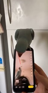 To license this content please click here: https://www.jukinmedia.com/licensing/view/1312800?utm_source=RMsocialpost&utm_medium=RMsocialpost | Jukin Copyright Management | Facebook