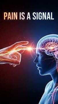 How Pain Travels to the Brain | The Hidden Science Behind Every Sensation