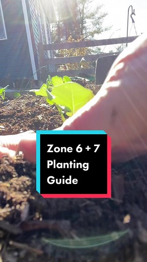 Zone 6 & 7 Planting Guide: What to Grow Now and What to Wait For