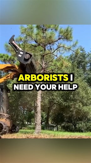 🌲 TREE SERVICE COMPANIES! 🌲 Get 5 tree jobs every month for only $37/month. Your competitors show up first on Google. You don't. Here's how it works: ✅ We build your professional website in 48 hours ✅ Shows up first when people search "tree removal near me" ✅ Customers call YOU instead of your competitors The best part? We handle everything — you just focus on tree work. $0 setup (normally $750) then $37/month. 🚨 We only work with ONE tree company per area — once it’s taken, it’s gone for goo