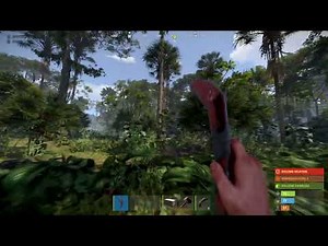 How to Get & Use the Boomerang in Rust