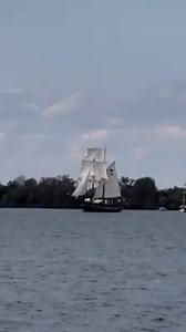 Rum Runners on Reels