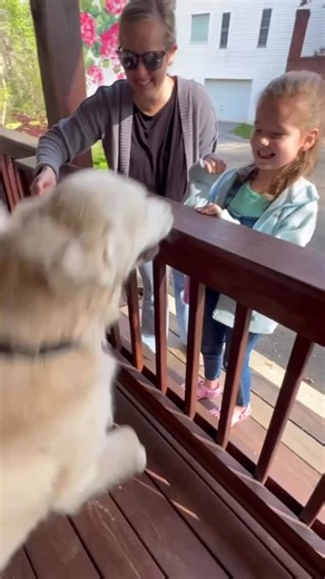 Marcia Hayden: Mom of Charlie the Therapy and Family on Instagram: "Jumping for joy is an understatement, when my favorite school Reading Buddy came to My house to read to me. I couldn't believe my eyes. As a therapy dog, I love going to school to read with my friends. Having one come to my house was this was an unexpected surprise. After reading we had a Tea Party with Koolaide and cookies and she shared some with me. This was a GREAT Day! ❤️ Join Charlie, Jack'son, Ollie, Emmie and friends for