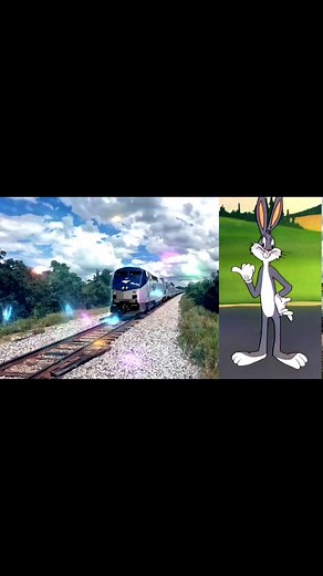 Truth about Amtrak Coach what you need to know, tips and pointers for riding in coach class #amtraktrain #amtraktravel #passengers #educationalpurposes