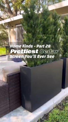 The Prettiest Cedar Privacy Screen You’ll Ever See| 👉🔗 Comments Bio #usareels #usatiktok #homefinds