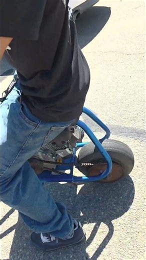 cat mini bike with predator 224