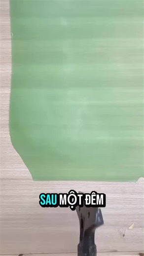 Video của Cat 🦌 (@giakhanh_255) với bản nhạc nhạc nền - Cat 🦌