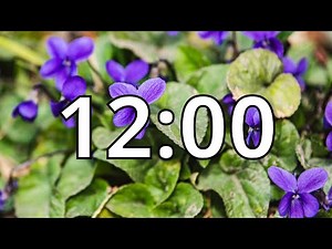 12 Minutes Timer with Music | Spring Timer