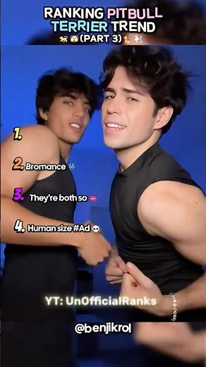 Ranking Best Pit Bull Terrier Trend- Part 3