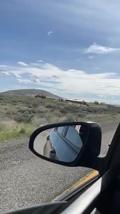 Richland saliendo l freeway | Noticias de los Tri-Cities Wa. Y sus alrededores .