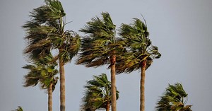 Mistral vs Tramontane: comment distinguer ces vents puissants ?