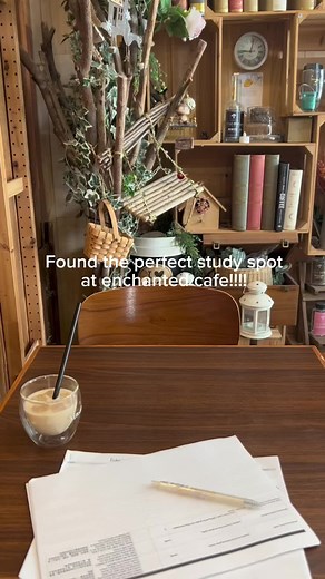 Best Study Spots in Singapore: Enchanted Cafe and More!