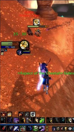WoW Classic TBC Thousand needles Hunter RP PvP vol. 30 #shadowstride #worldofwarcraft #pvp