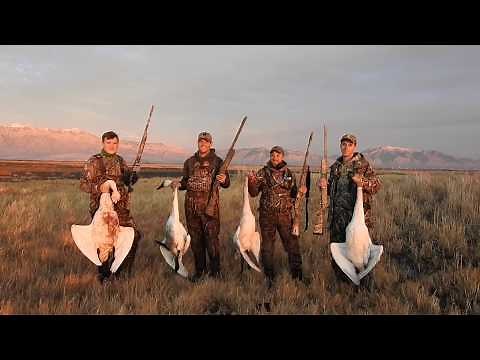 Epic Utah Swan Hunt | 4 down | Heads up Double!