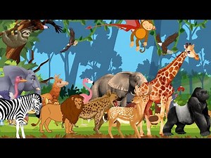 ABC Safari Animals & Insects Song | Learn Alphabet with Bugs & Wild Animals | Nursery Rhymes 7TH1125