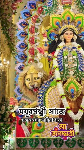 Mayurponkhi saje Chandannagar Sorishapara Jagaddhatri Ma 2025