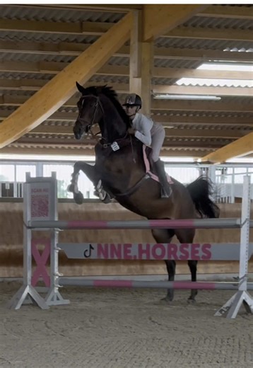 Unzensive Einblicke ins Training für Springreiter