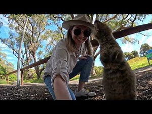 Australian Woman Takes Selfies With Baby Quokka
