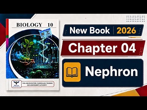 Class 10th Biology Chapter 4 | Nephron | Human Urinary System | Punjab Board 2026 | New Book PECTAA