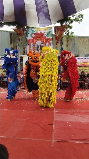 Múa lân tứ quý hưng long 2026 #mualancuchay #liondance