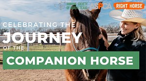 325 reactions · 20 shares | Meet Draco Malfoy! 彩 In this episode of...