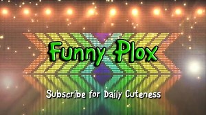 Everything a dog does is hilarious to a baby! Nothing beats babies laughing at dog! Cuteness overload! | BabyPivot