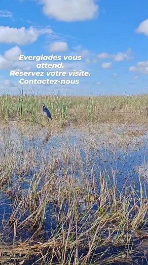 Visites guidées à Miami Beach, Miami, Everglades, Kennedy Space Center & key West en Français, anglais, portugais et espagnol. Contactez-nous Plus d'informations Whatsapp: https://wa.me/message/26VJHGFDJKWOD1 | Charles Voyageur | Facebook