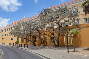Celebrating Curaçao’s African Roots Through Culture And Community