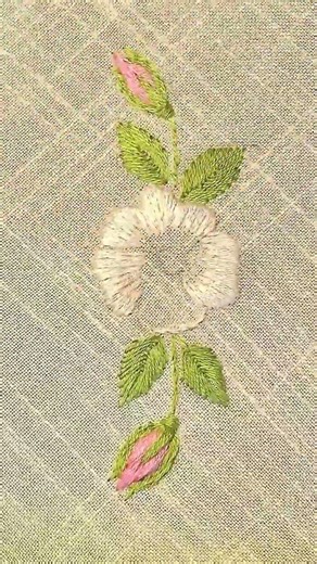 Apple Blossom Satin Embroidery Short