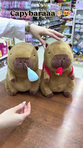 Capybara sounds and facts: capybara sesi & basics