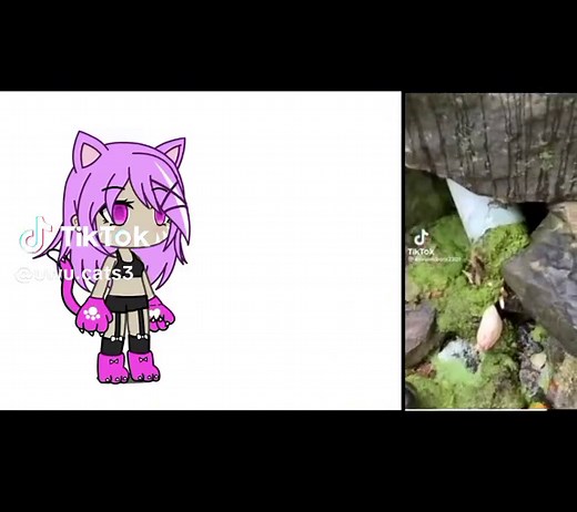 UwU Cats (@uwu.cats3)’s videos with original sound - UwU Cats