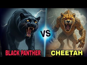 "Black Panther vs Cheetah😬 – The Ultimate Battle of Speed and Power!"😱