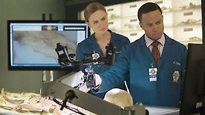 Watch Bones Season 9 Episode 12 - The Ghost in the Killer