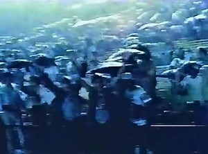 19K views · 203 reactions | ⭐️On July 23, 1976 the final Chicago...