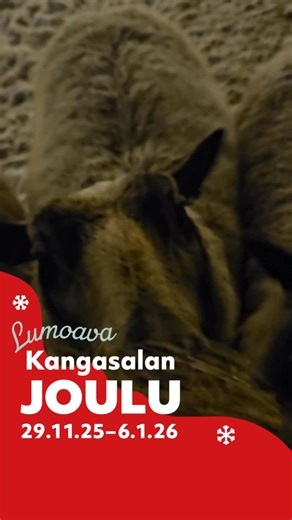 Tervetuloa lumoavaan Kangasalan jouluun! 🌲Tapahtumia, konsertteja, uniikkeja lahjoja, herkuttelua... Katso kaikki vinkit joulutunnelmaan joulusivultamme. 🎅 | Visit Kangasala