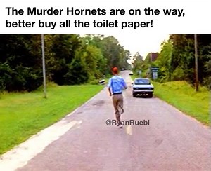 40K views · 836 reactions | Straight to Piggly Wiggly. 炙 | Meanwhile in Wisconsin | Facebook