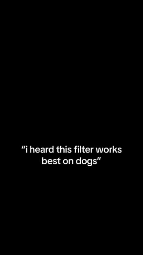 CapCut Dog Filter Editing Tips for TikTok Videos