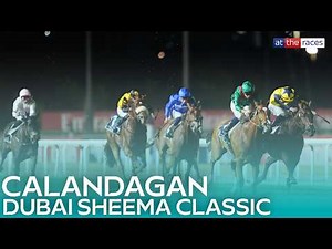 CALANDAGAN STRIKES IN THE SHEEMA CLASSIC! | The worlds best racehorse is back with a bang!