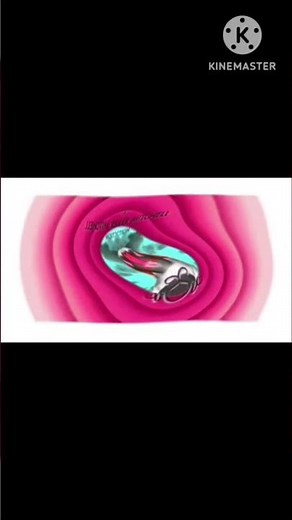 Kennedy Miller Mitchell productions Warner Bros pictures a major