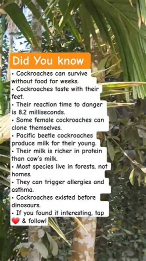 Creepy Cockroach Facts