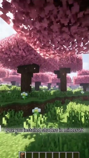 |Relaxing|pov:You installed shaders in minecraft #Minecraft