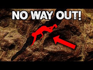 The Most Terrifying Cave Exploration Stories Ever Told!