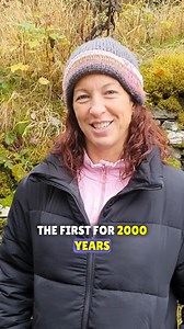 2.3K views · 117 reactions | FEEDBACK NEEDED! As part of our Big...