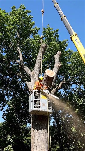 The Hidden DANGER of High Elevation Work You Need to Know