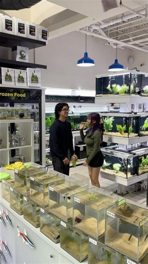 Epic Aquarium Store Fish Gallery Dallas TX #aquariumhobby #aquarium #fishtank